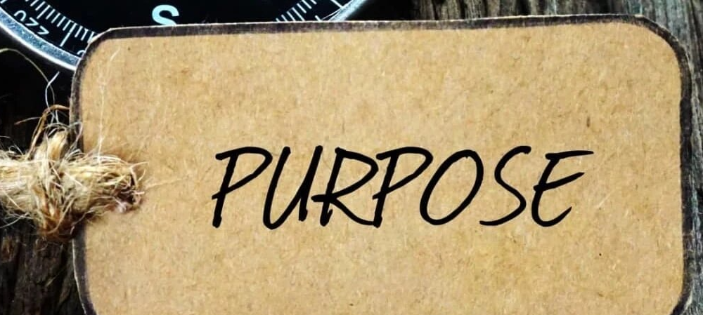 Purpose: A Nugget from a Classic