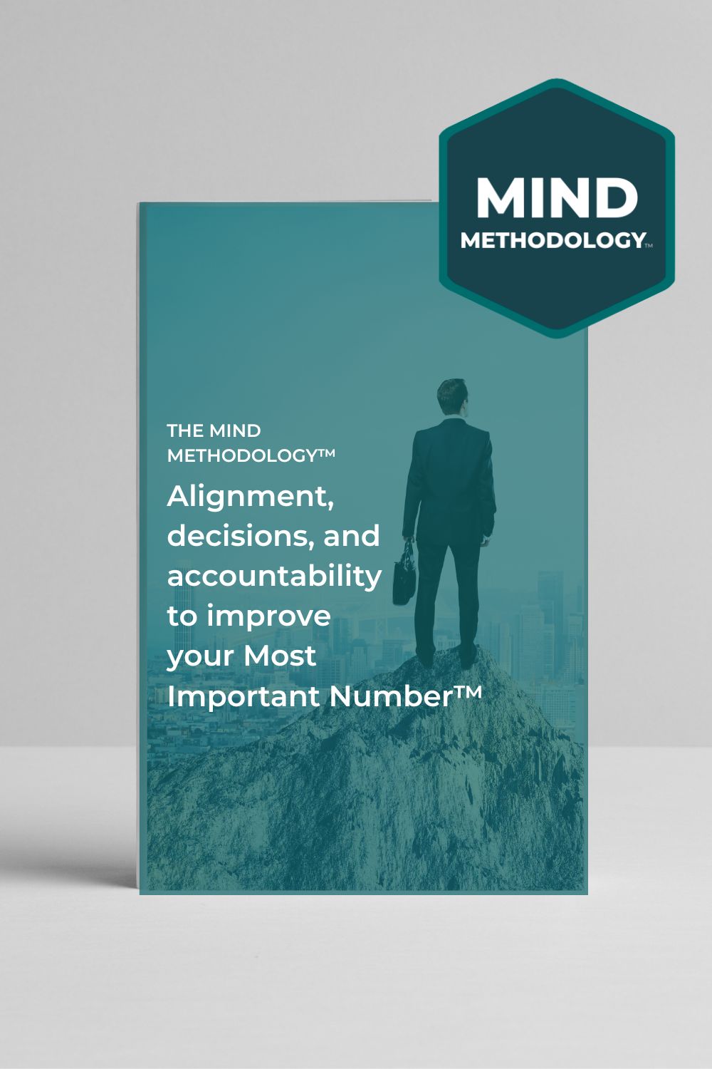 Download FREE Mind Methodology Playbook